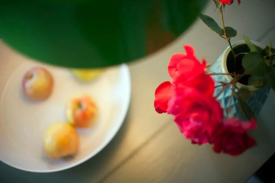 모토분 Casa Pino Pina 아파트