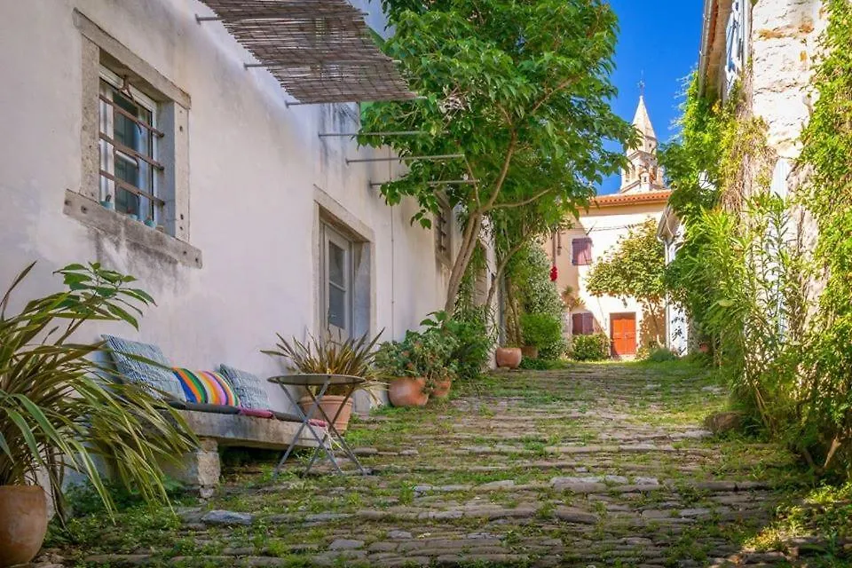 Casa Pino Pina Apartment Motovun Croatia