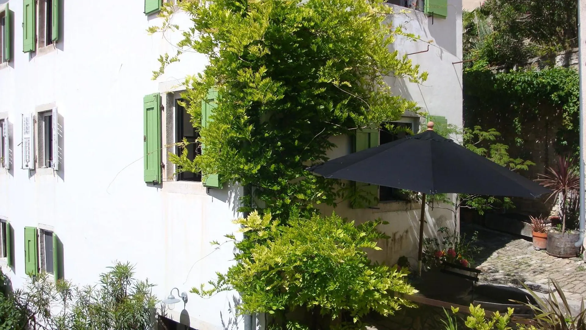 Casa Pino Pina Apartment Motovun Croatia
