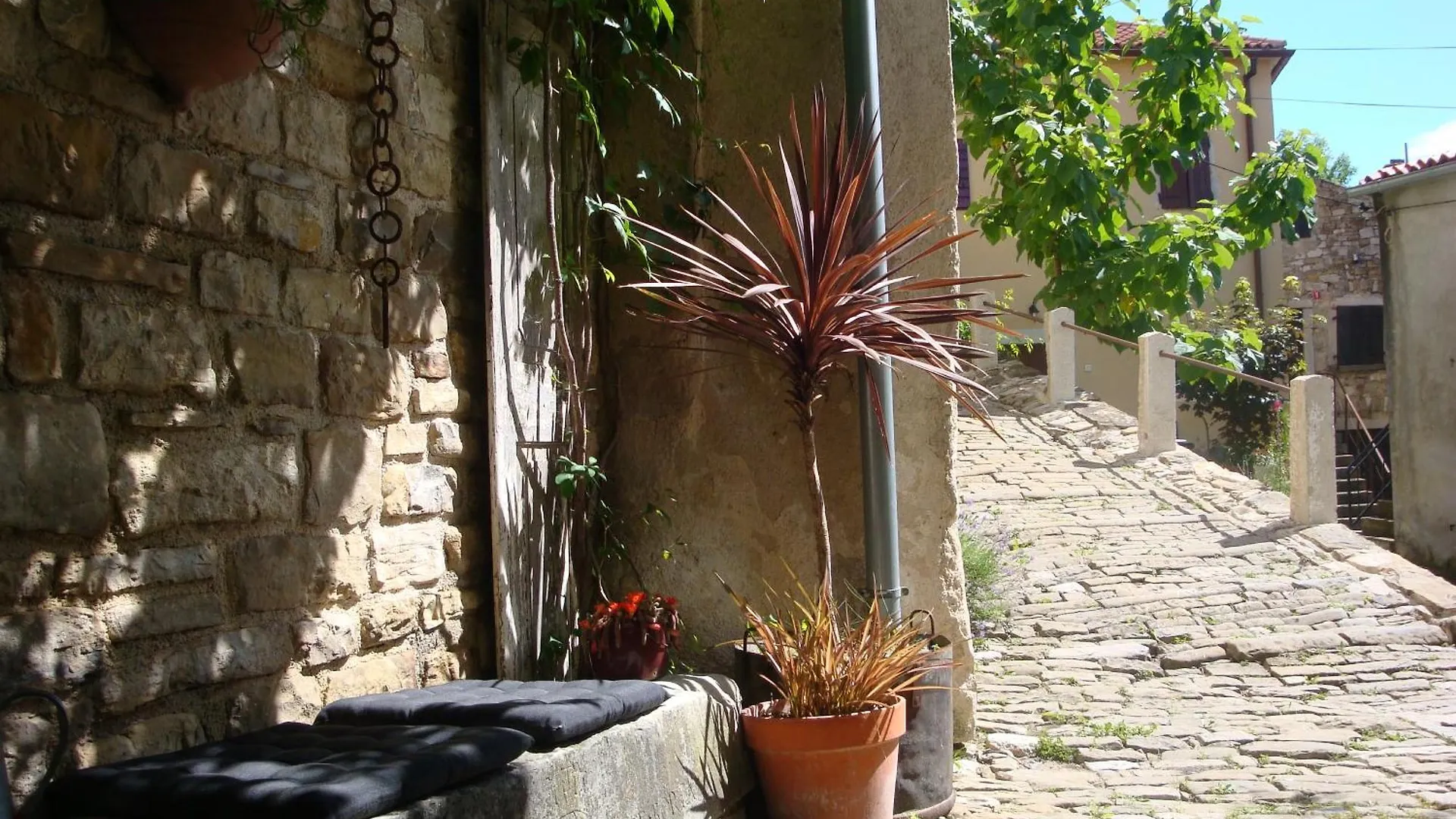Casa Pino Pina Apartment Motovun